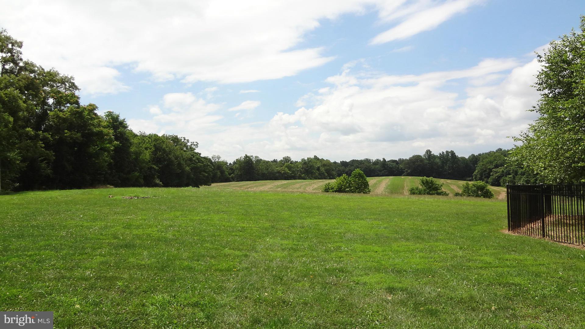 15900 Barnesville Road Boyds, MD 20841 - Photo 4 of 30 a view of a grassy field