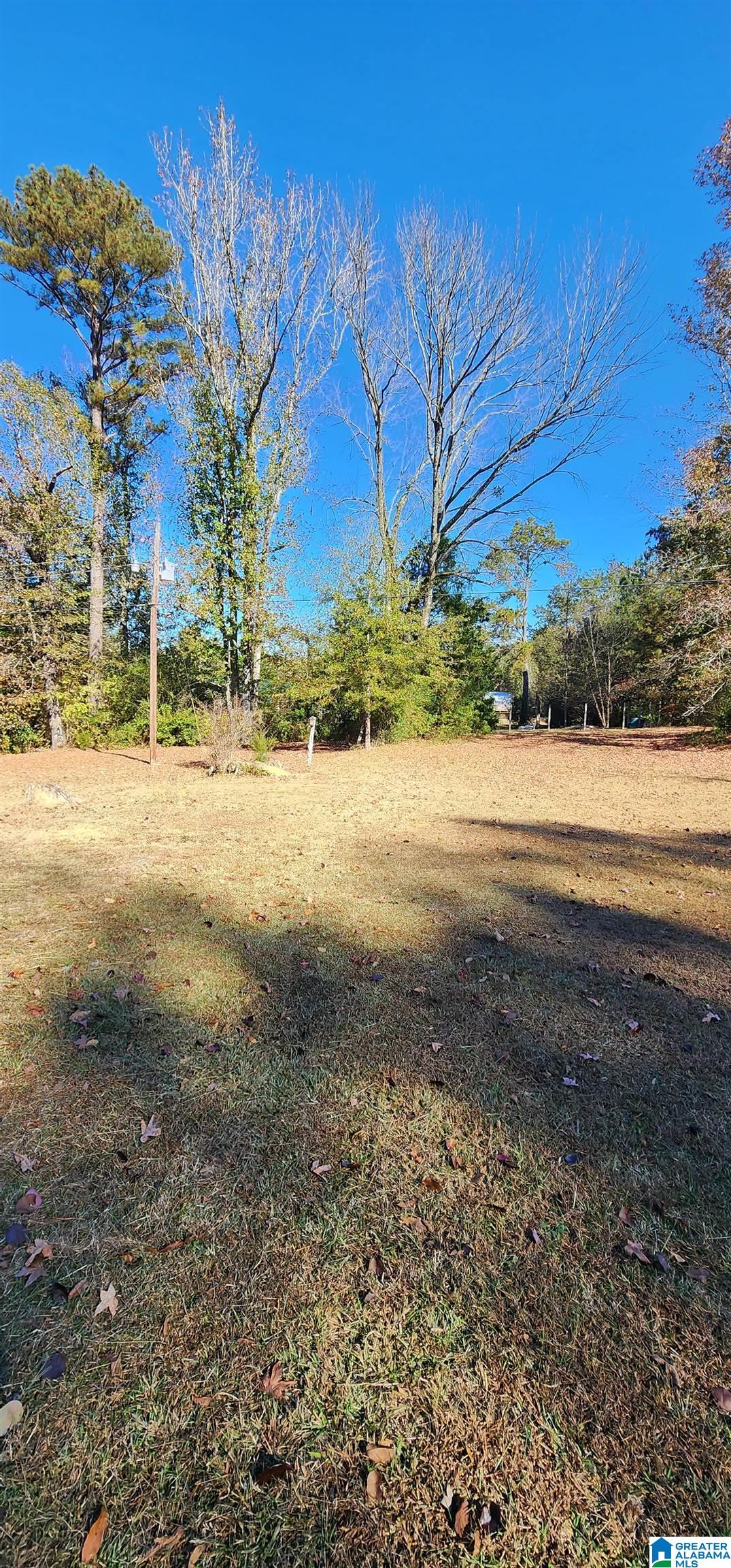 2441 Springville Boulevard Oneonta, AL 35121 - Photo 6 of 36 Gallery Image 6