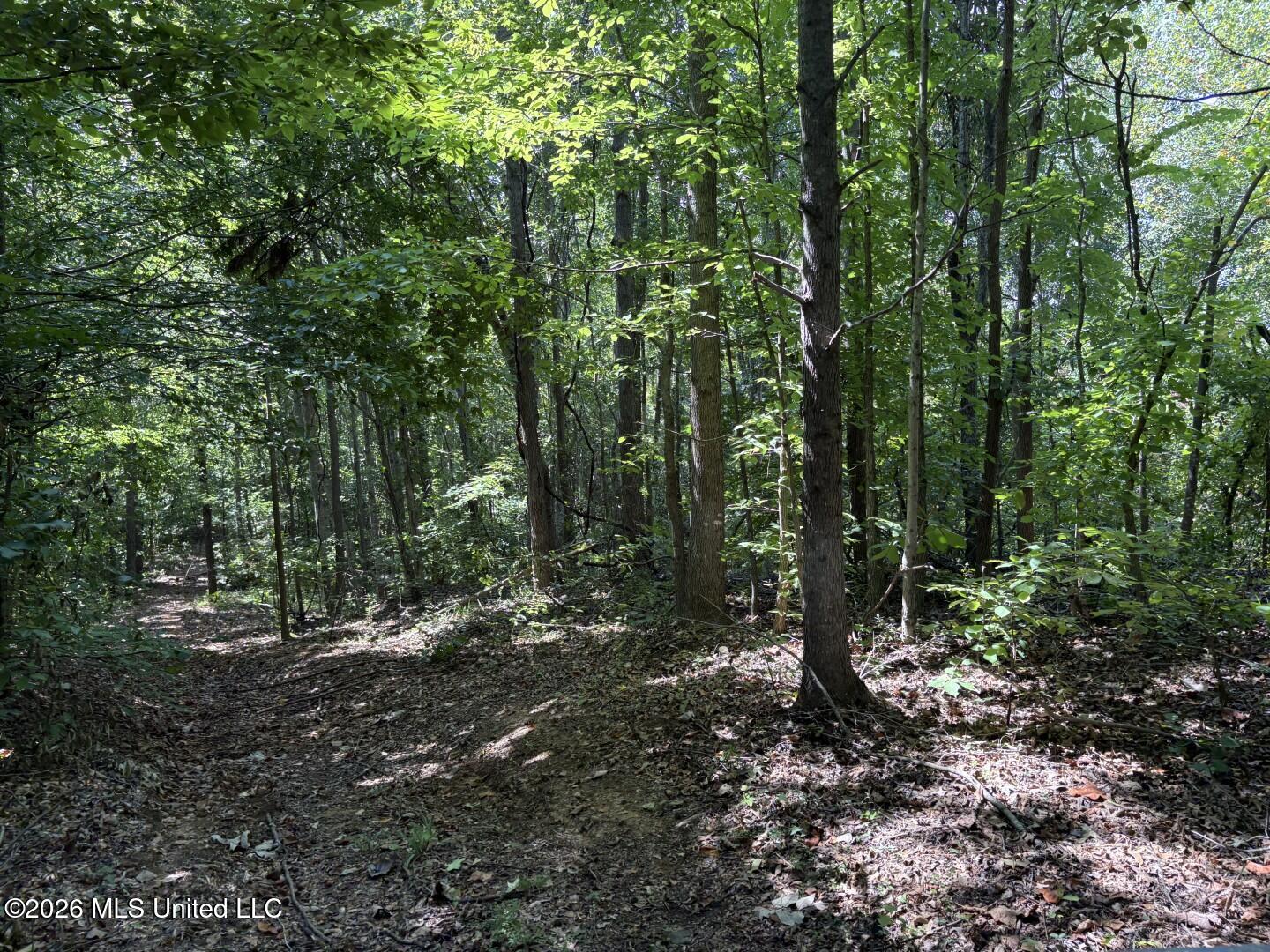 180 County Road New Albany, MS 38652 - Photo 14 of 39 2 (Large)