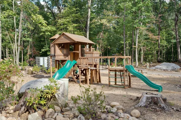a view of a forest with trees