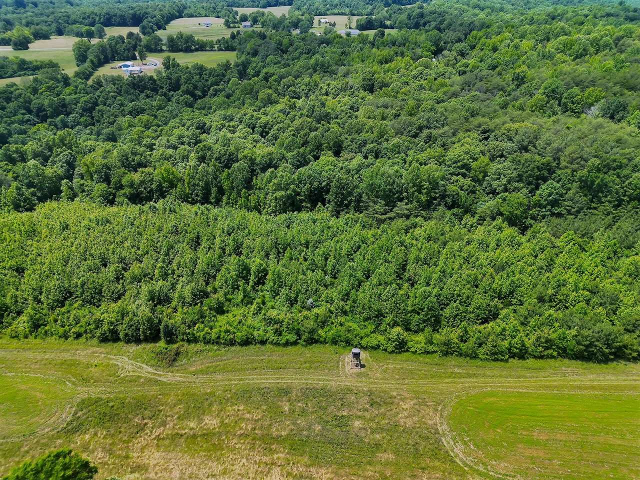 2335 Dogwalk Road Horse Branch, KY 42349 - Photo 26 of 39 Gallery Image 26