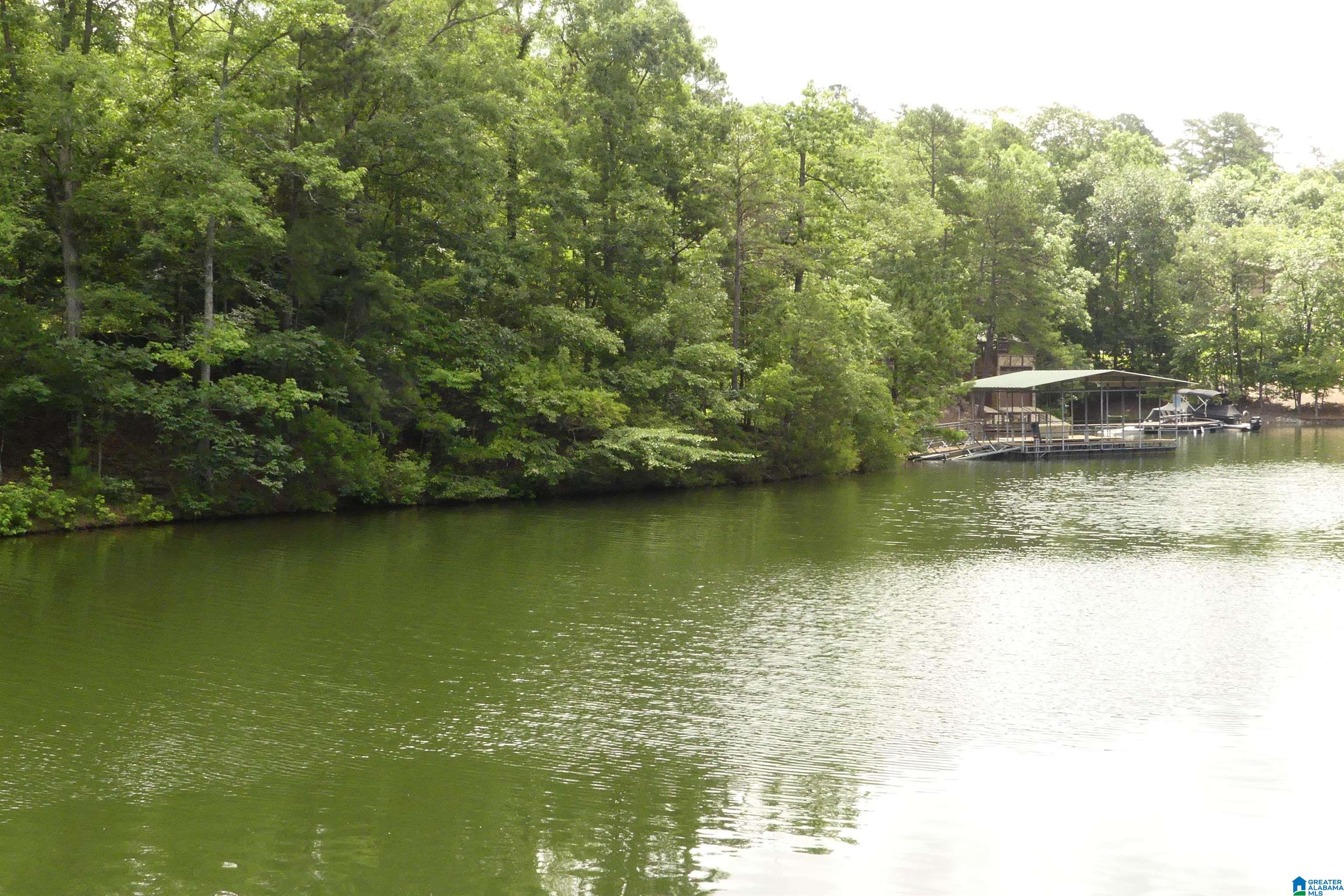 199 River Birch Road, Unit 108 Wedowee, AL 36278 - Photo 19 of 21