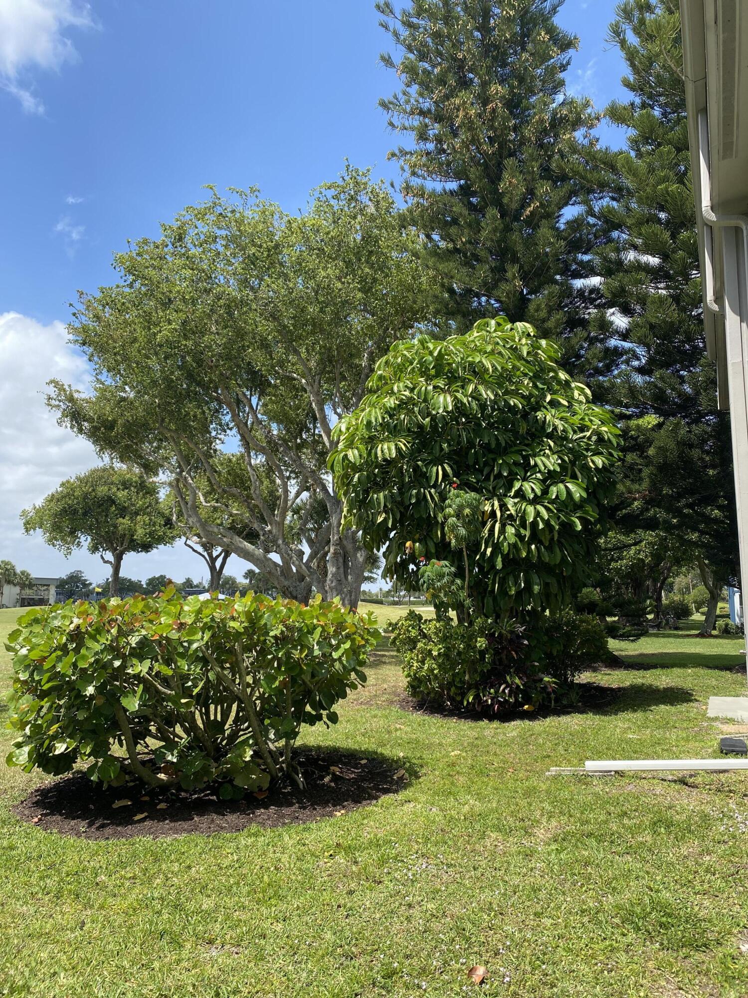 148 Normandy Lane Delray Beach, FL 33484 - Photo 22 of 29 a view of a garden