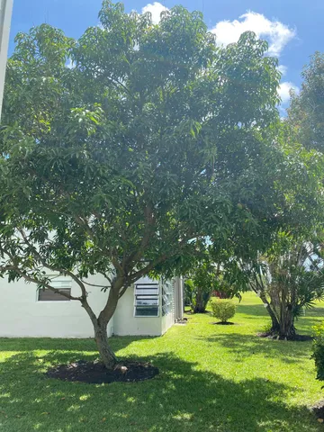 a view of a backyard with table and chairs and a large tree
