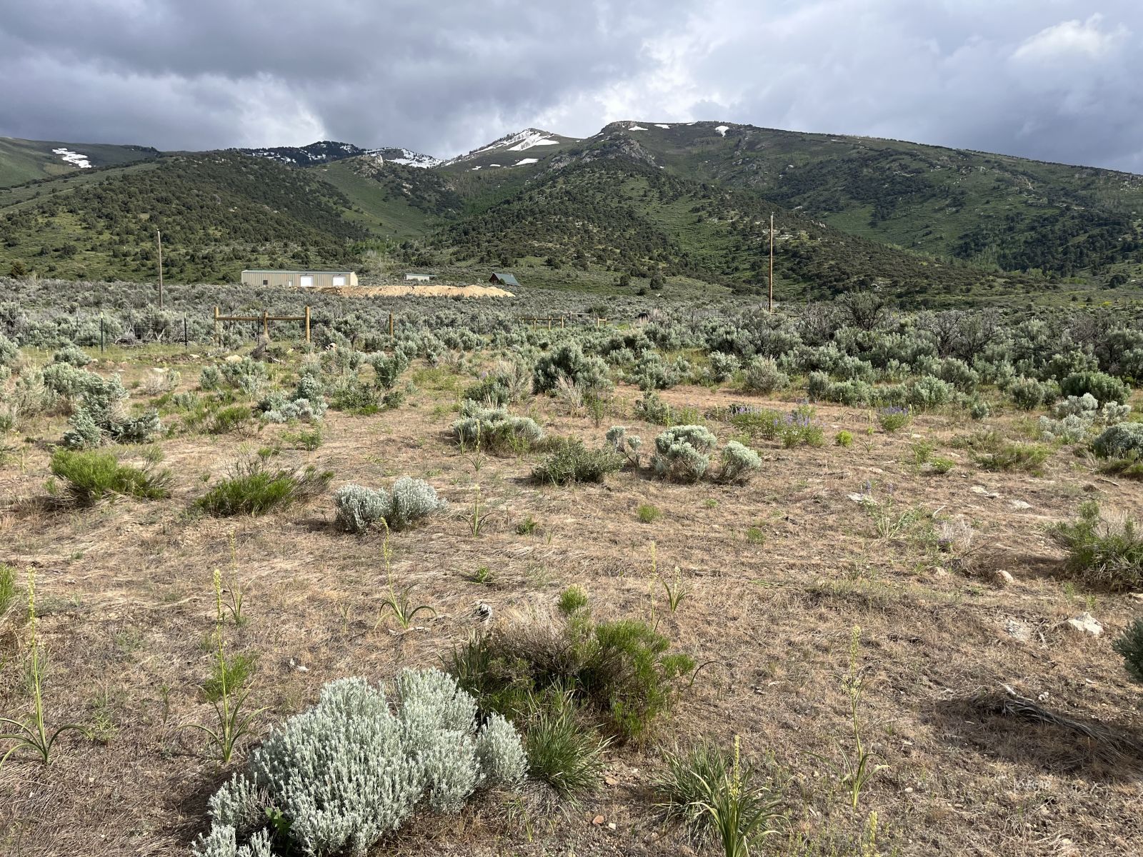 Foothill Circle Lamoille, NV 89828 - Photo 1 of 5