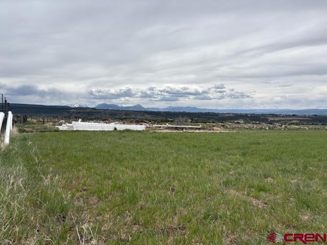15736 2600th Road Cedaredge, CO 81413 - Photo 29 of 43 Gallery Image 29