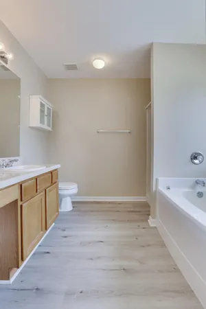 a bathroom with a tub sink toilet and a mirror