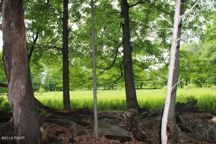 1049 Swoyer Road Lake Ariel, PA 18436 - Photo 4 of 31