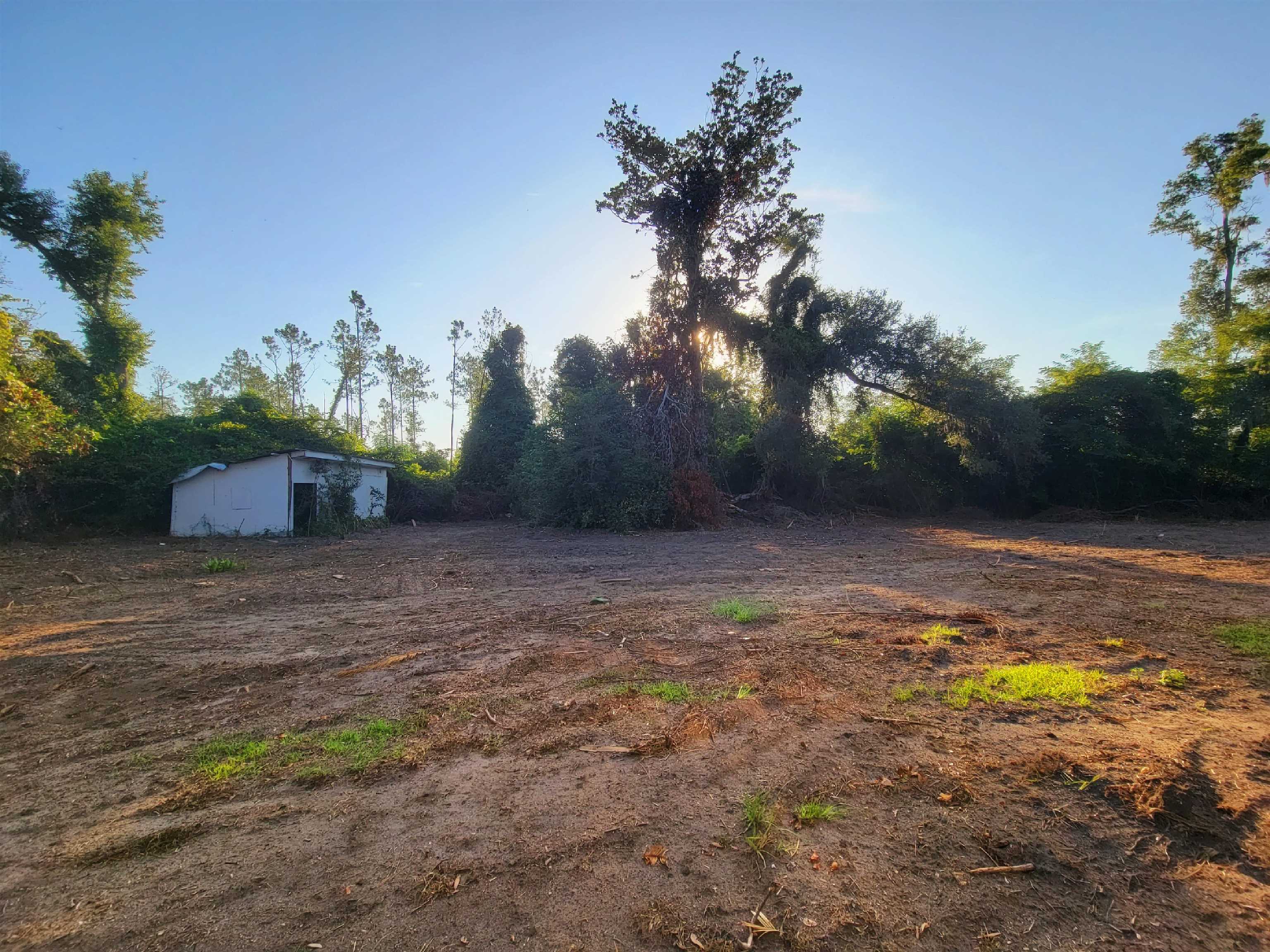 1458 Highway 53 Madison, FL 32340 - Photo 19 of 56