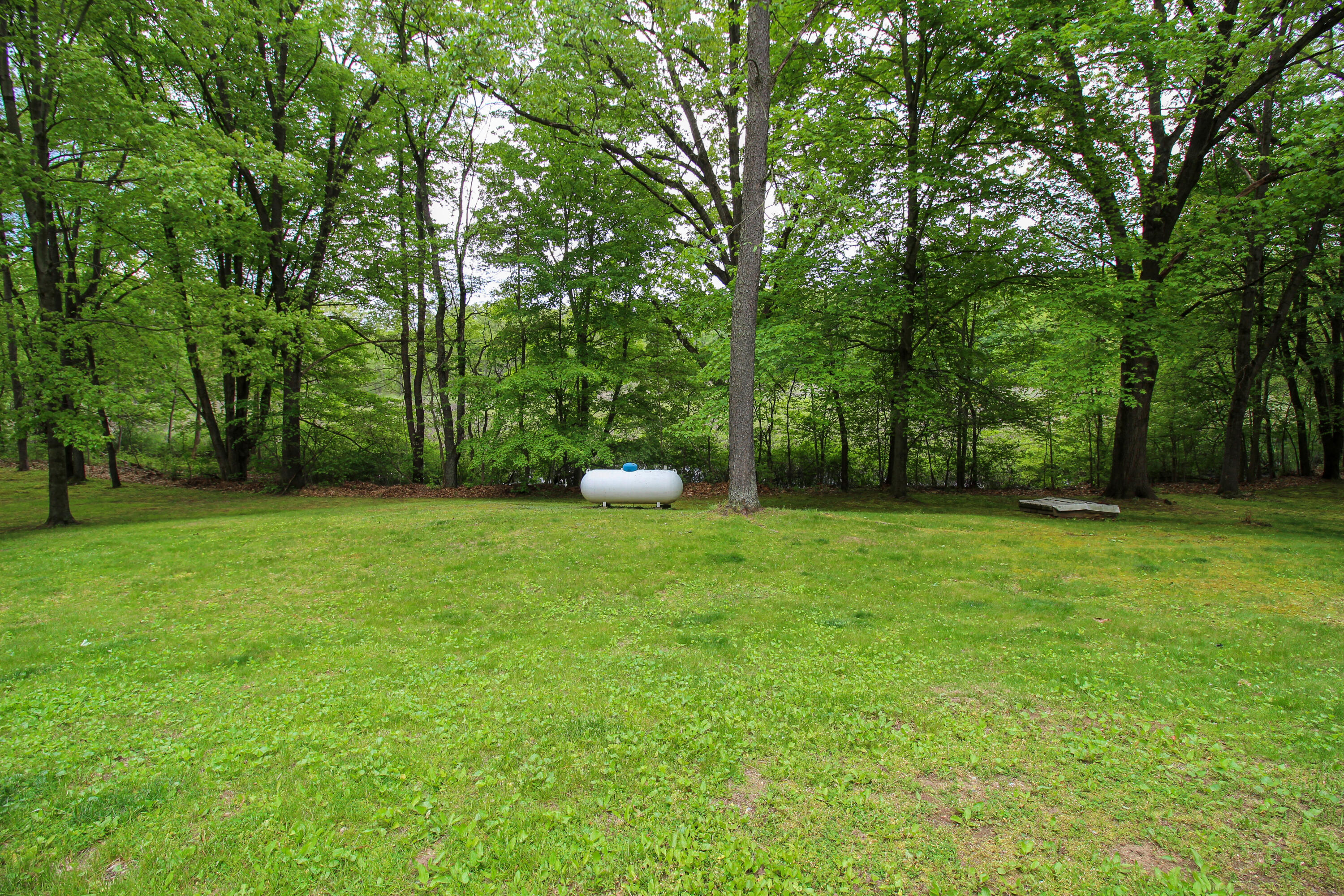 11111 Born Street Three Rivers, MI 49093 - Photo 23 of 65 Born-34