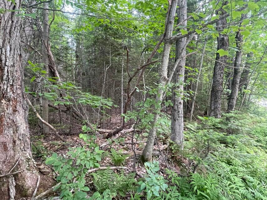 80 Gammon Road Peru, ME 04290 - Photo 3 of 18