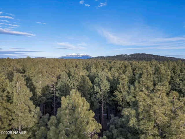 a view of a yard with plants