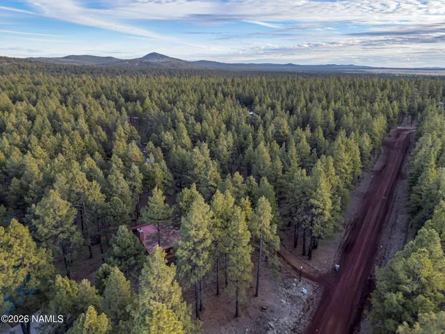 a view of a forest with mountains in the background