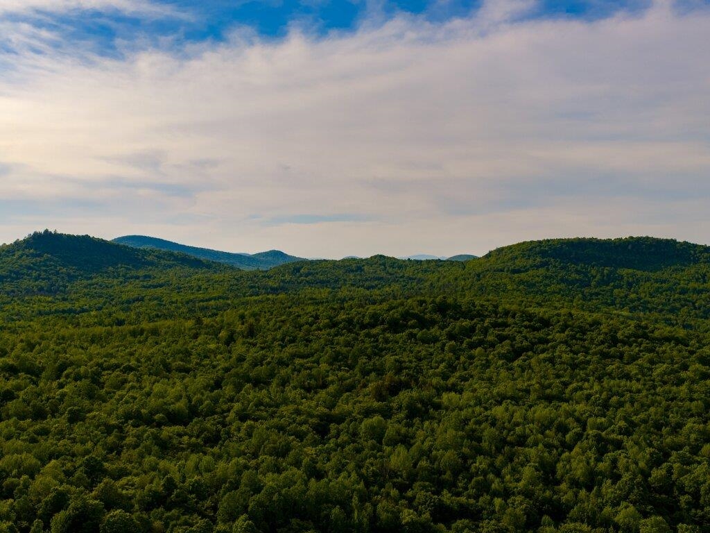 3180 Bear Hill Road, Unit 1 Guildhall, VT 05905 - Photo 9 of 16