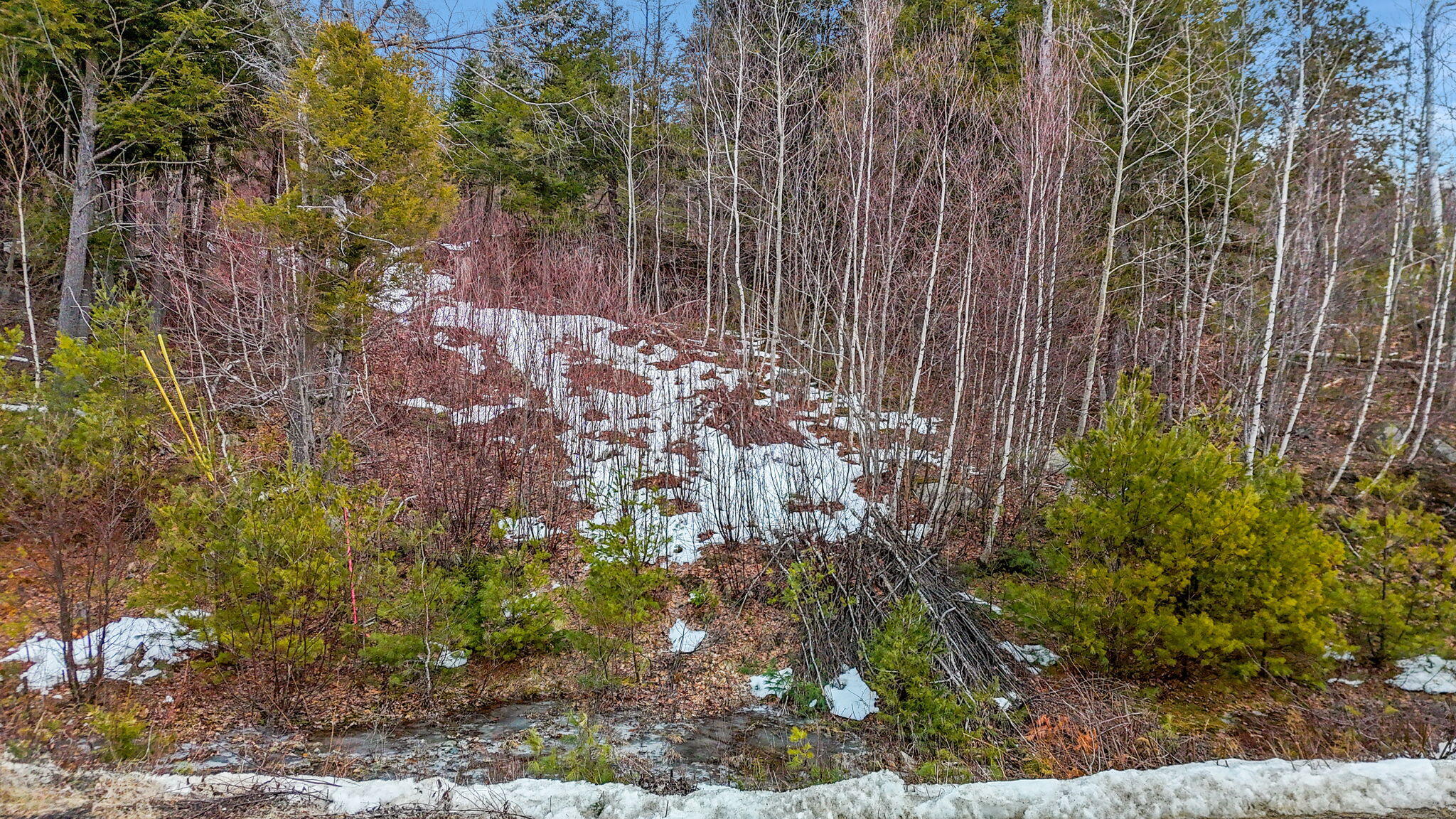 Tbd Thunder Snow Road Bethel, ME 04217 - Photo 9 of 19 14-web-or-mls-DJI_20260319140802_0049_D