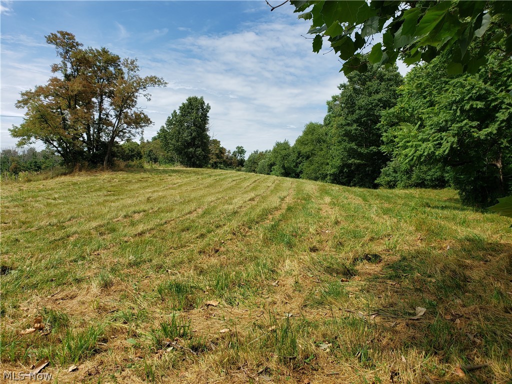 Pisgah Road Quaker City, OH 43773 - Photo 8 of 17 Gallery Image 8