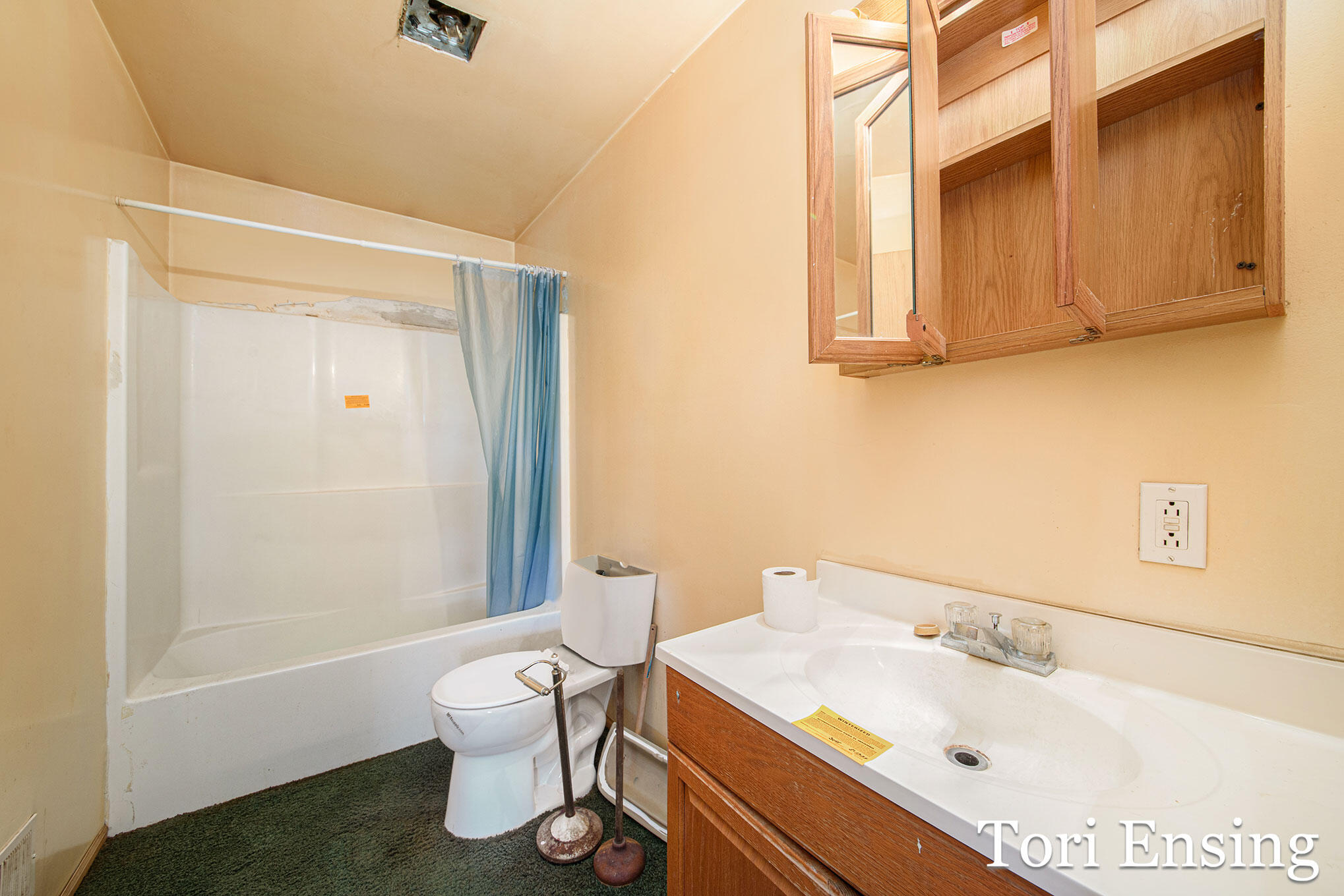 4727 South Lund Road Sheridan, MI 48884 - Photo 7 of 21 _DSC6579