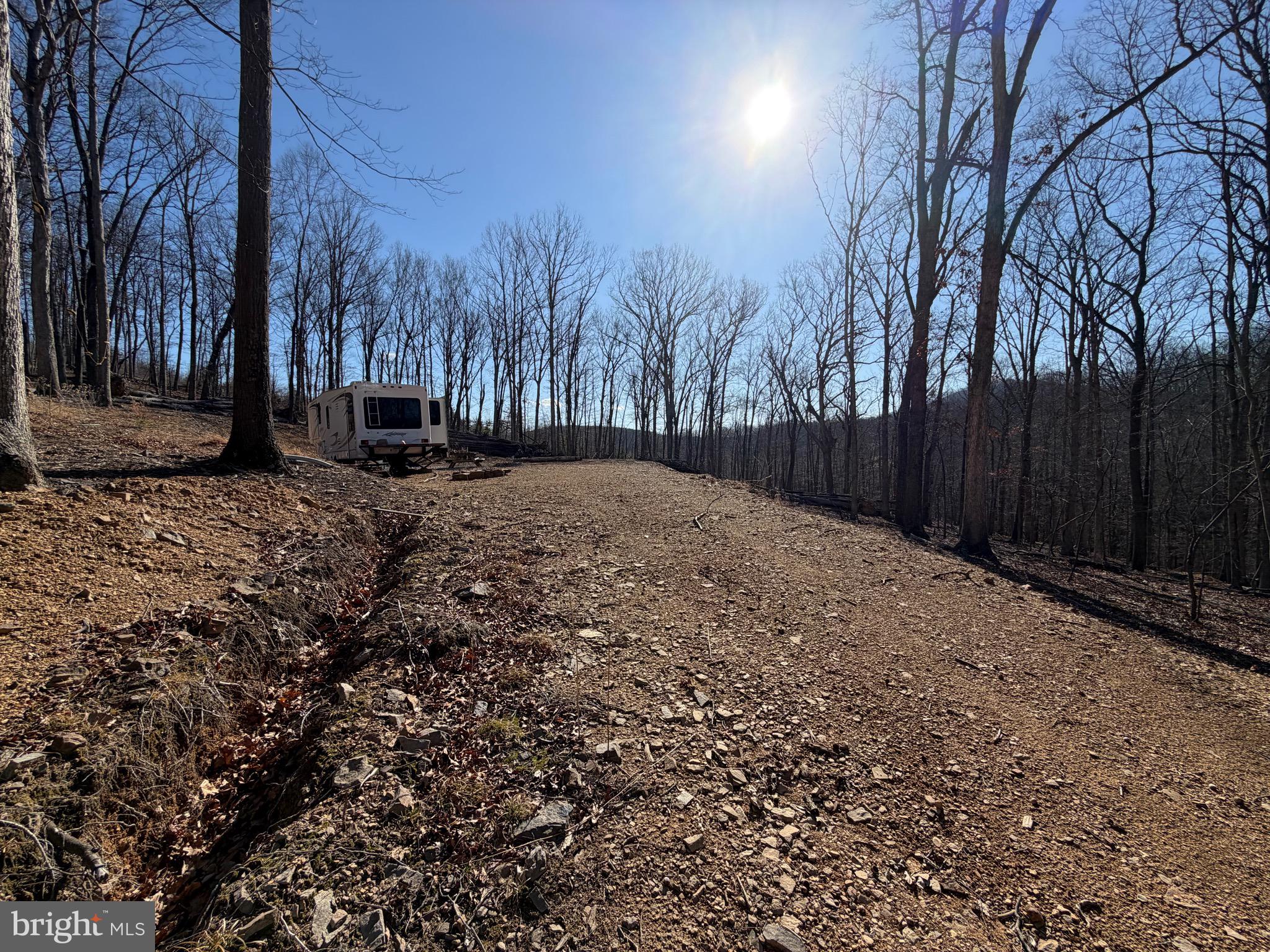 Goldsborough Road Springfield, WV 26763 - Photo 2 of 18