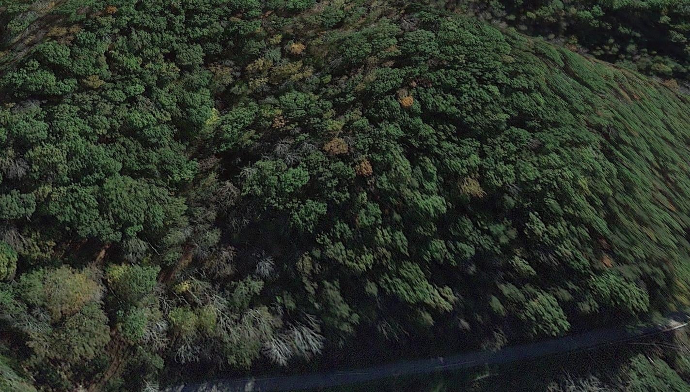 0 Wire Branch Road Ona, WV 25545 - Photo 3 of 4 Gallery Image 3