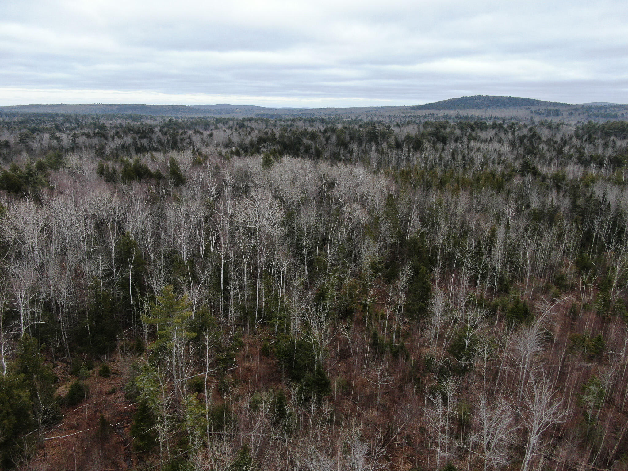 DJI_0202