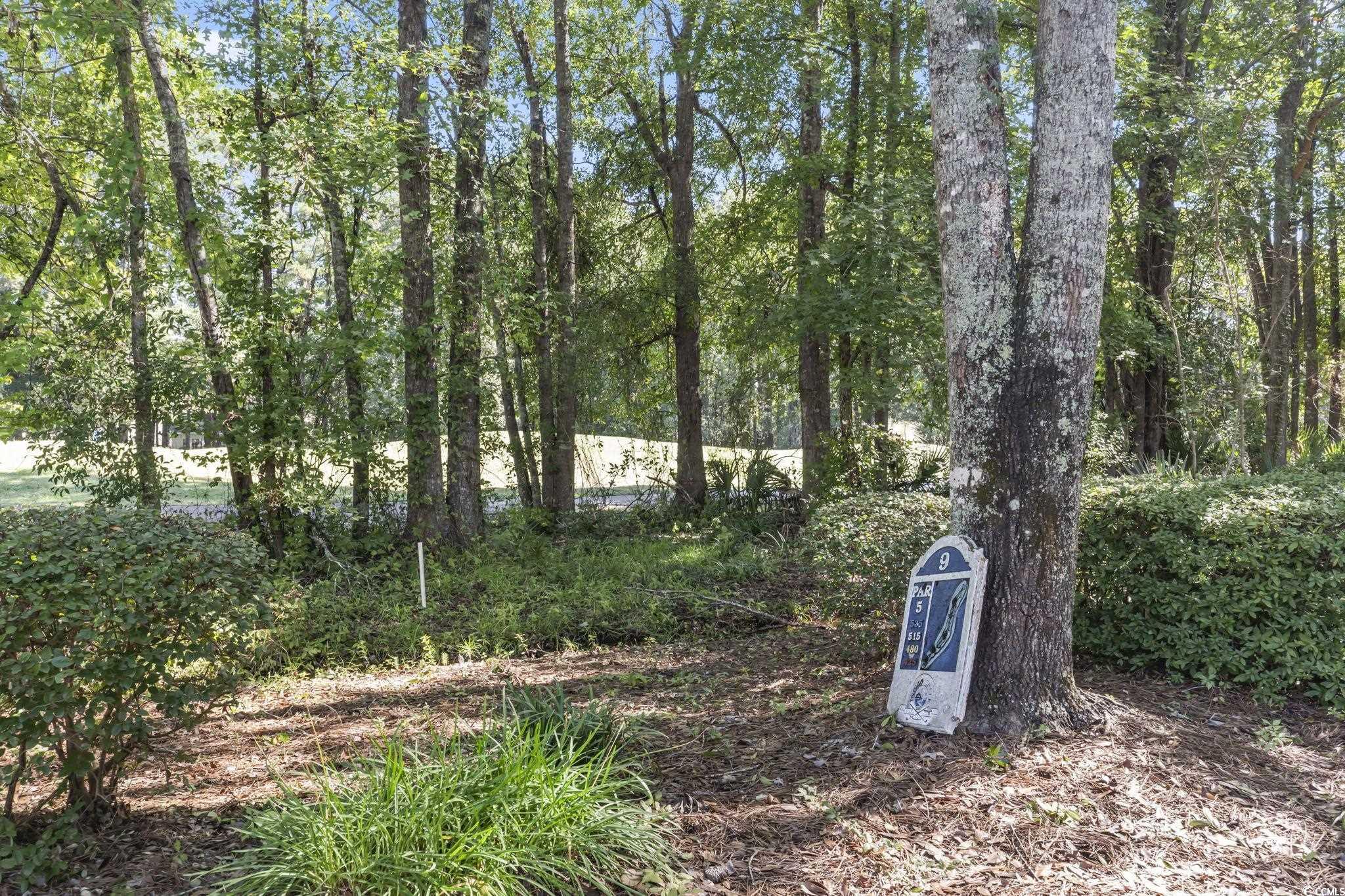 9560 Indigo Creek Boulevard Murrells Inlet, SC 29576 - Photo 30 of 34
