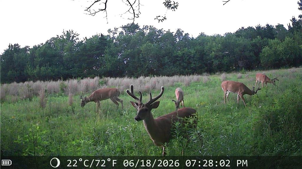 624 Ohio Road Richmond, KS 66080 - Photo 1 of 12 Gallery Image 1