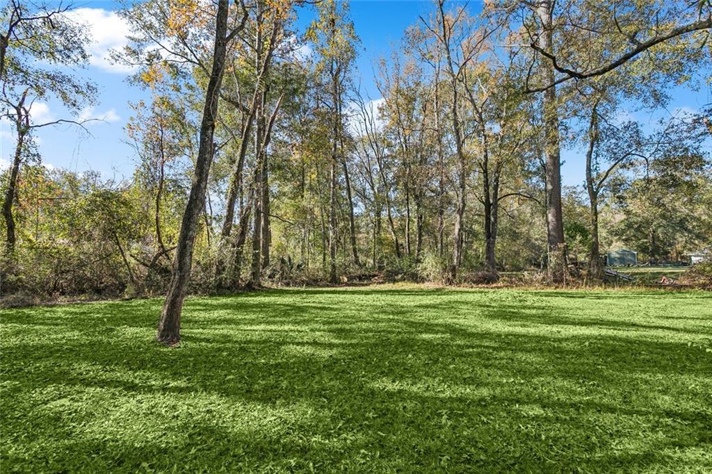 19952 Georgia Street Livingston, LA 70754 - Photo 16 of 19