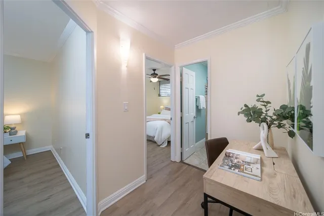 a living room with furniture and a potted plant