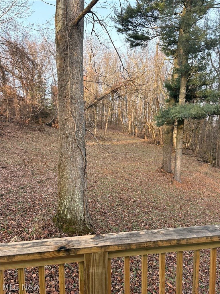 1213 Rabbit Hill Road Wellsburg, WV 26070 - Photo 19 of 21