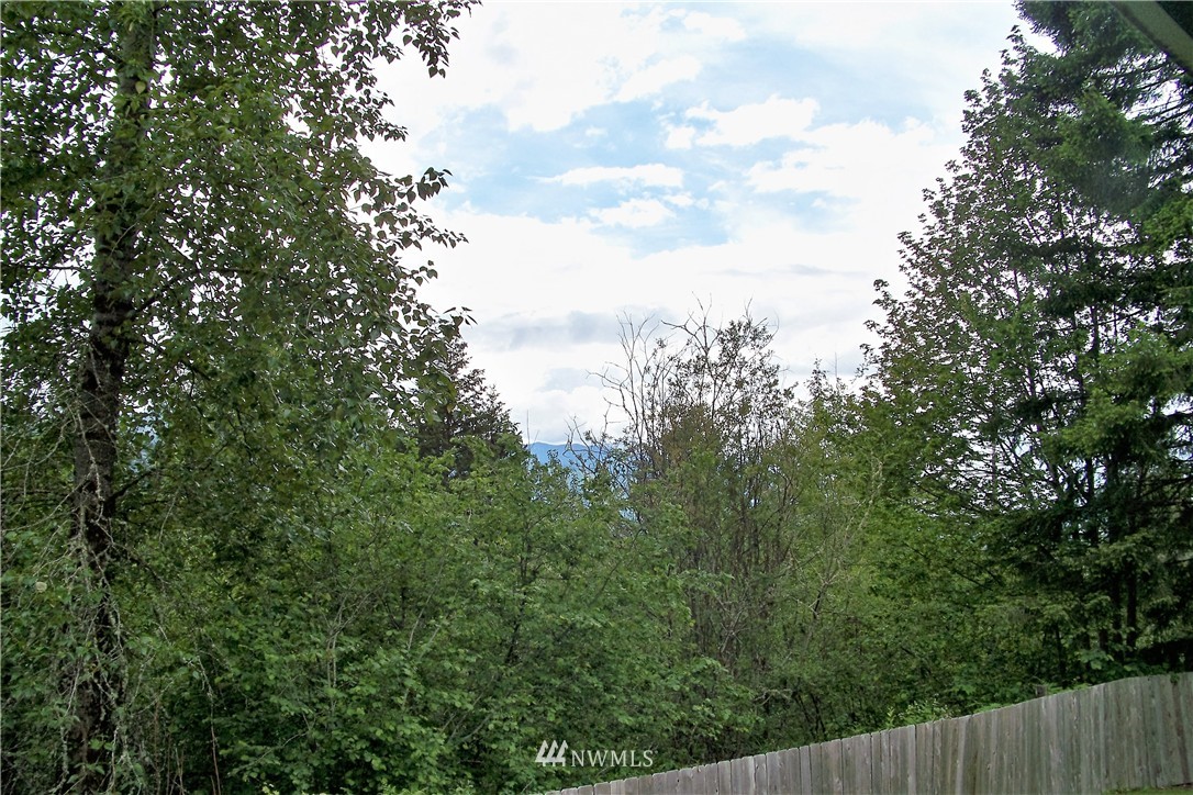 167 Boyd Road Randle, WA 98377 - Photo 21 of 23