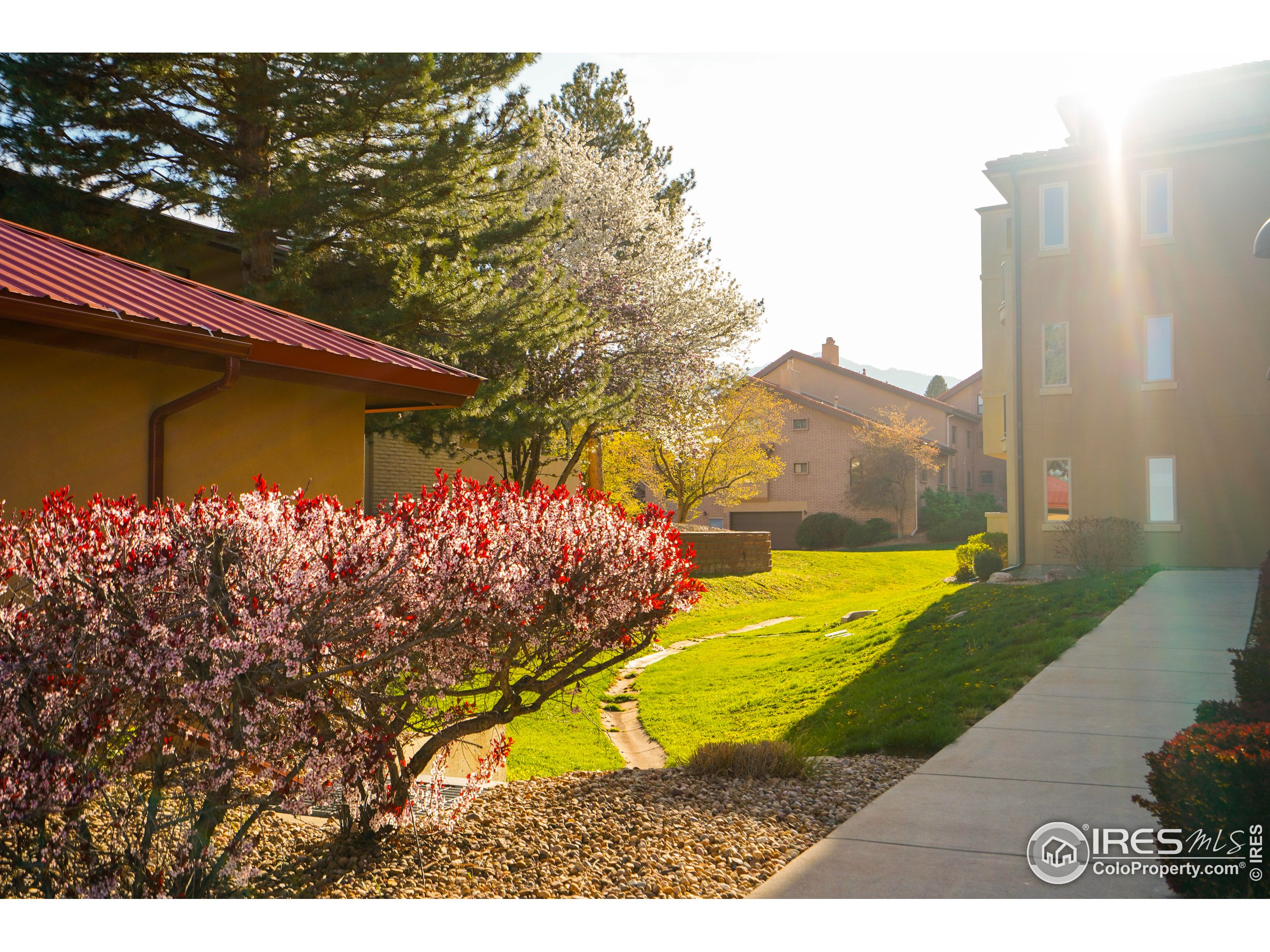 4500 Baseline Road, Unit 4104 Boulder, CO 80303 - Photo 12 of 14 a view of a backyard