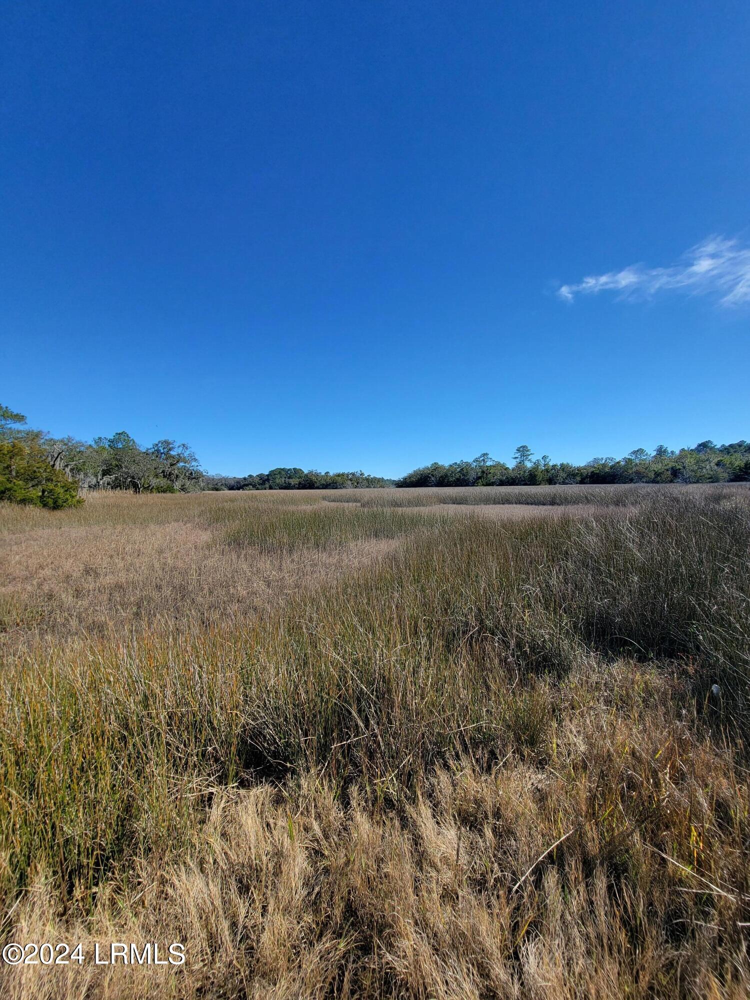 22 Coker Lane Seabrook, SC 29940 - Photo 11 of 24 20240214_145503