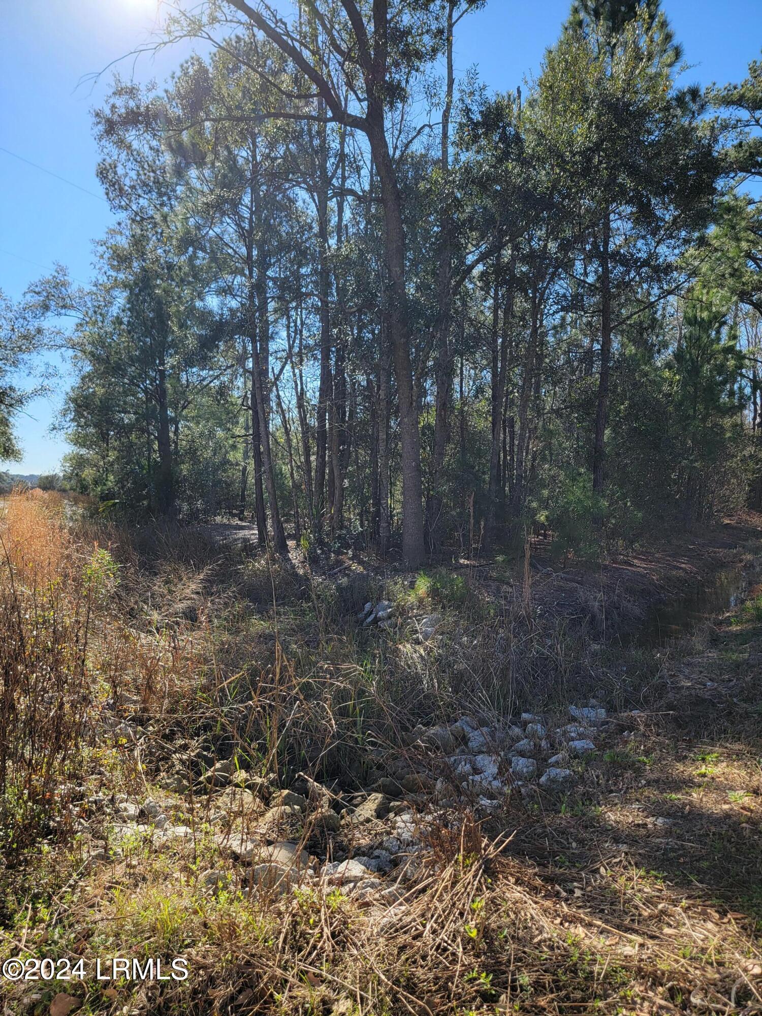 22 Coker Lane Seabrook, SC 29940 - Photo 14 of 24 20240214_145847
