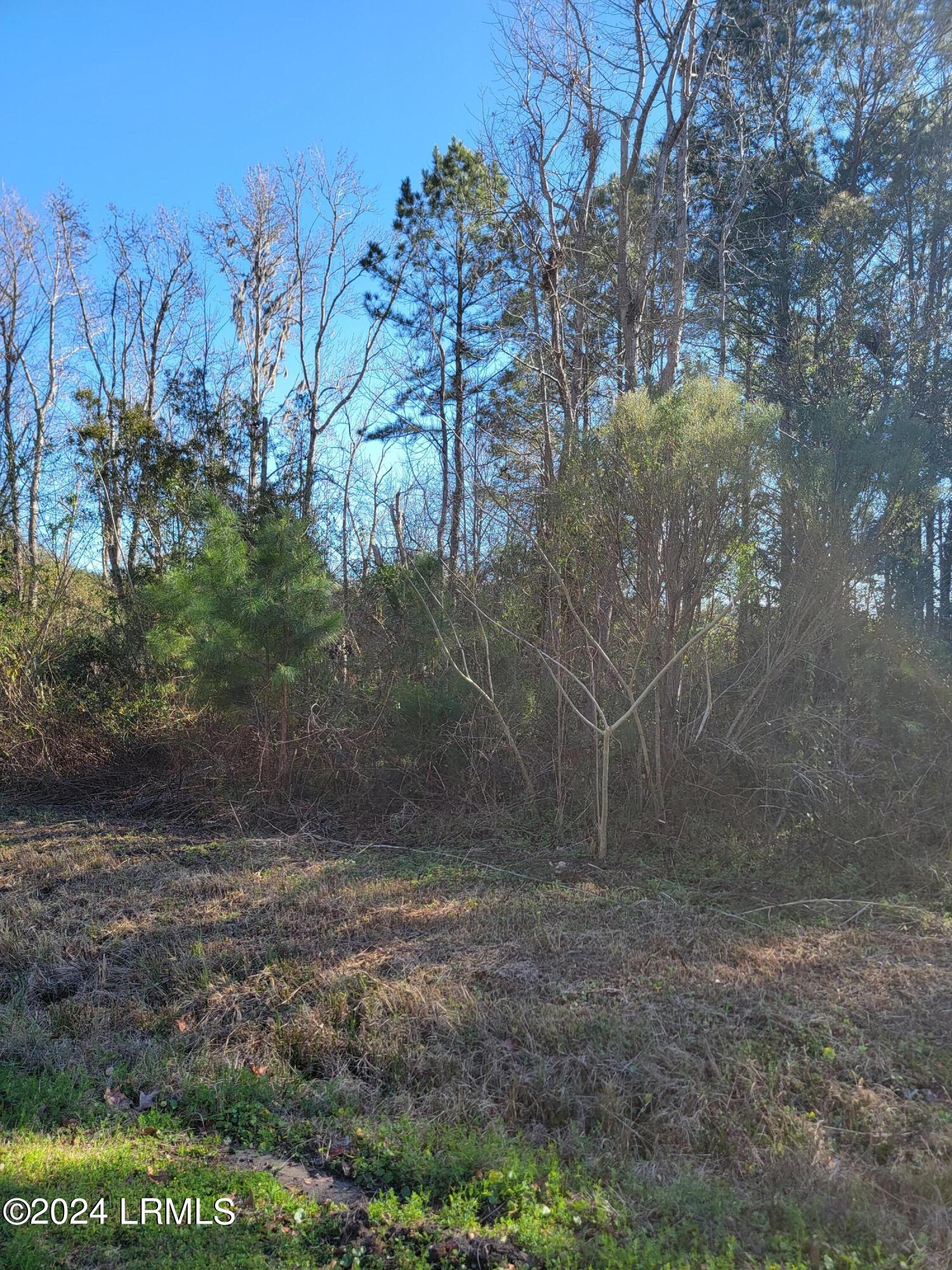 22 Coker Lane Seabrook, SC 29940 - Photo 16 of 24 20240214_150941
