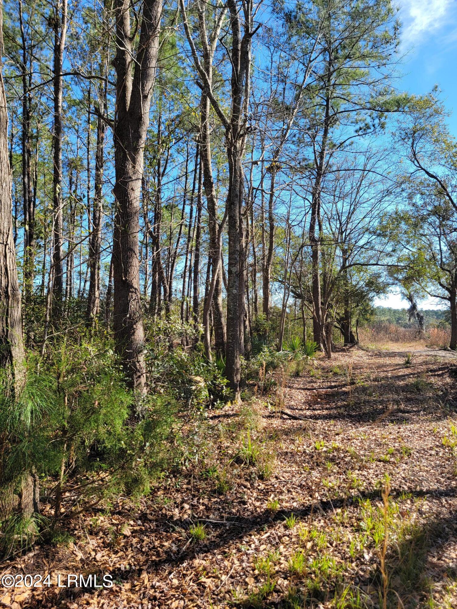 22 Coker Lane Seabrook, SC 29940 - Photo 18 of 24 20240214_151302