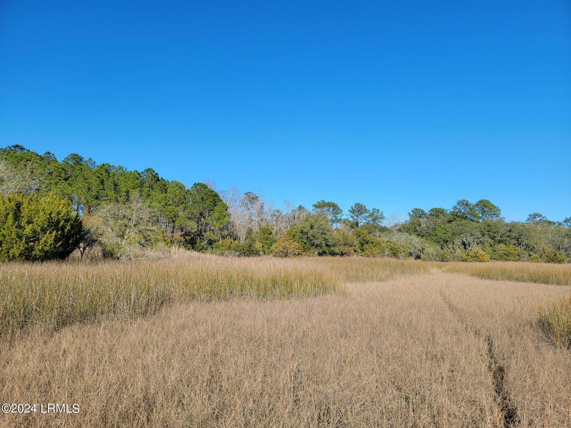 22 Coker Lane Seabrook, SC 29940 - Photo 21 of 24 20240214_151944