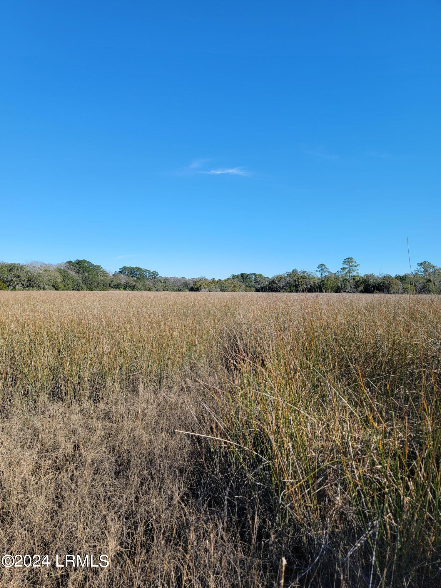 22 Coker Lane Seabrook, SC 29940 - Photo 22 of 24 20240214_151947
