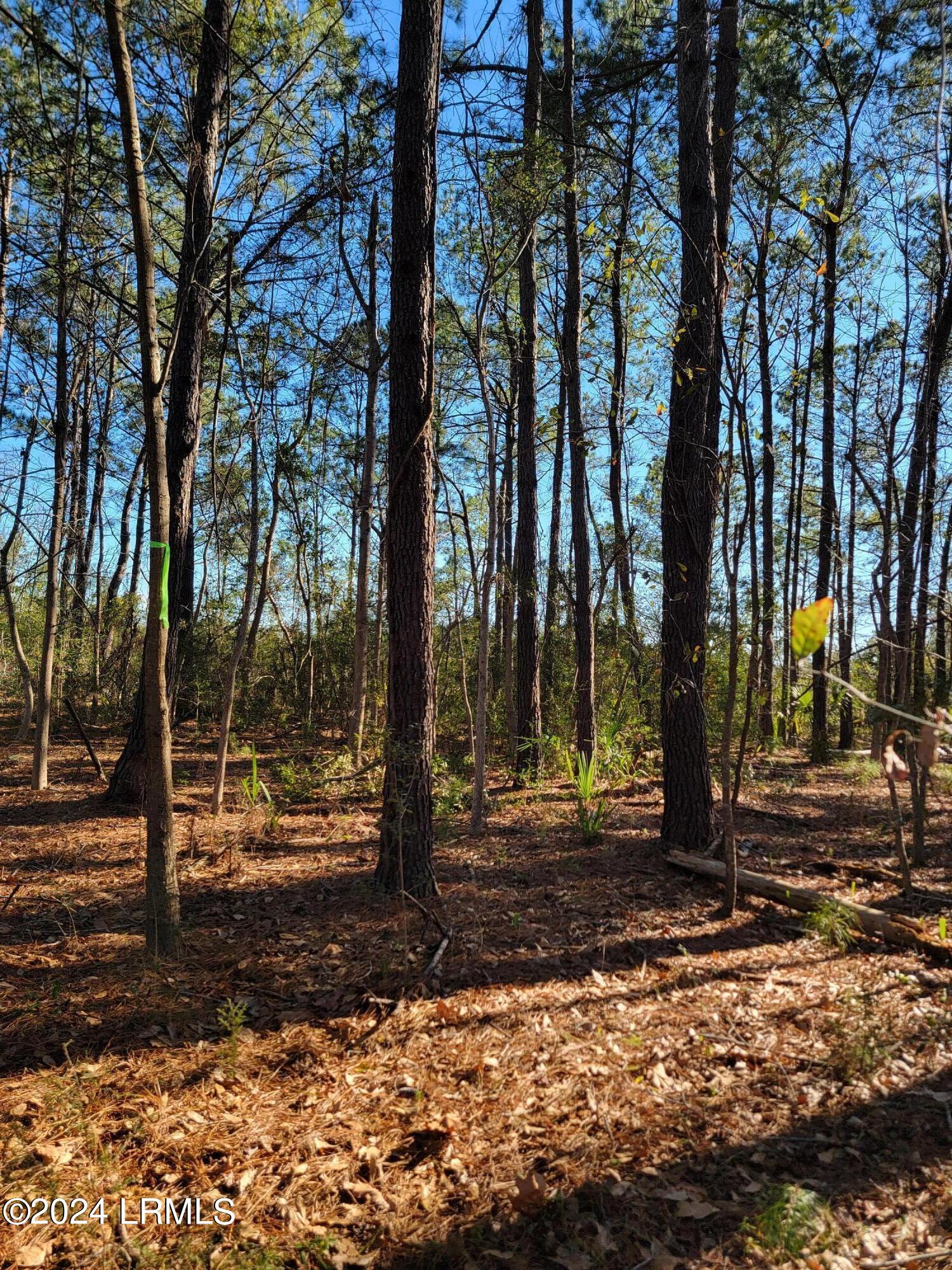 22 Coker Lane Seabrook, SC 29940 - Photo 24 of 24 20240214_153437