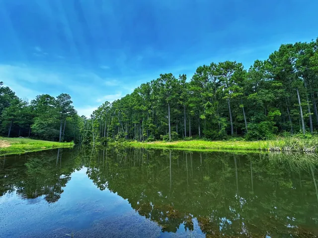 a view of a lake from a yard