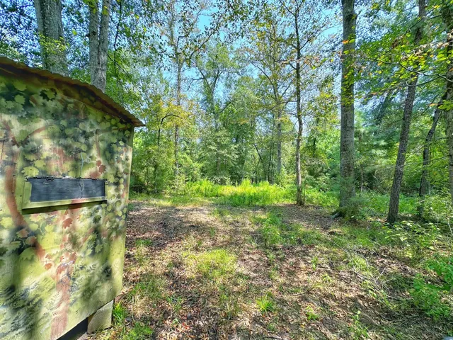 a view of outdoor space and green space