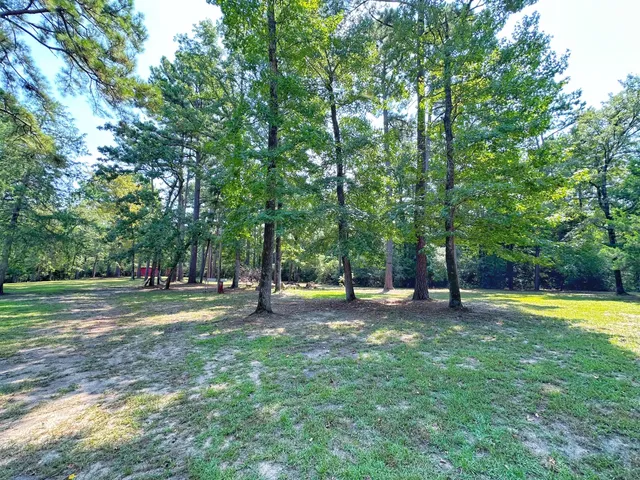 a view of a garden with a tree