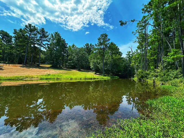 a view of a lake with houses in the back