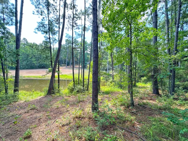 a view of a park with large trees