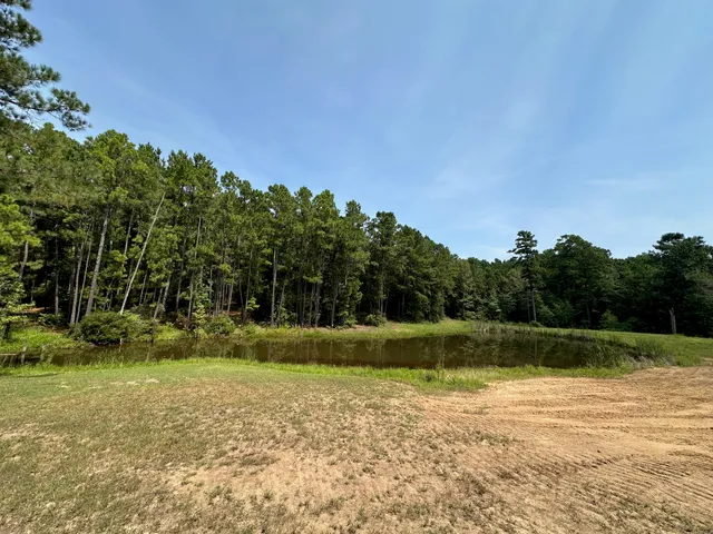 a big yard with trees in the background