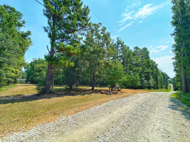 a view of a yard with a tree