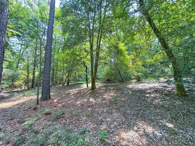 a view of a yard with a tree