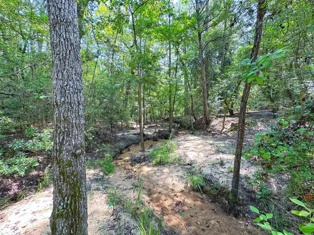 a big yard with lots of green space and deers