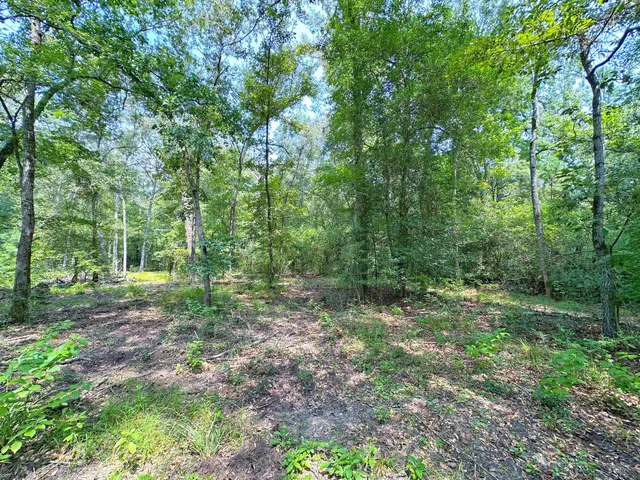 a view of outdoor space and a yard