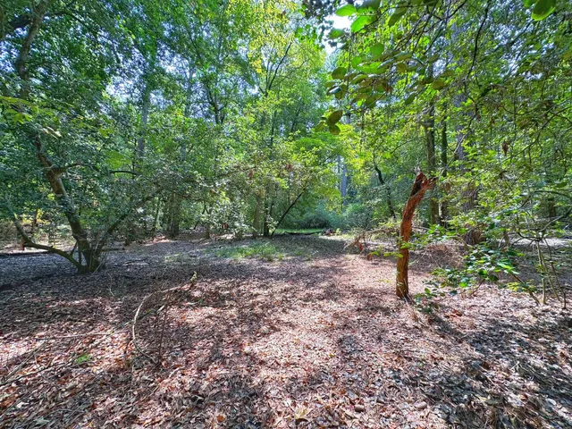 $749,950 | 3055 Cr 274 Buffalo Tx 75831, Buffalo, TX 75831