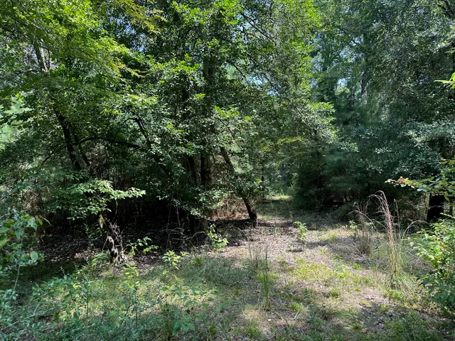 $749,950 | 3055 Cr 274 Buffalo Tx 75831, Buffalo, TX 75831